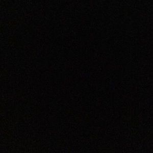 Meet your Posher, Brady